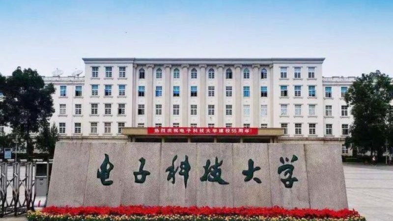 电子模块：揭秘其优缺点与选型要点**